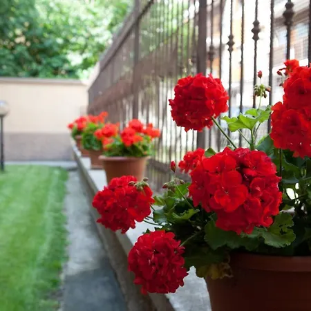 Al Centro Di Appartement
